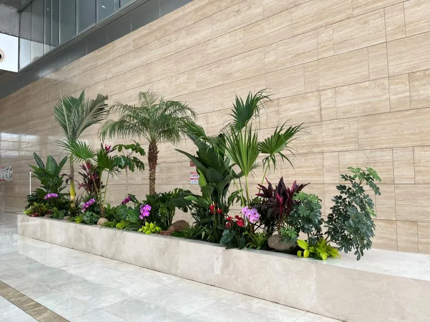 宁波鄞州花卉租赁价格实惠